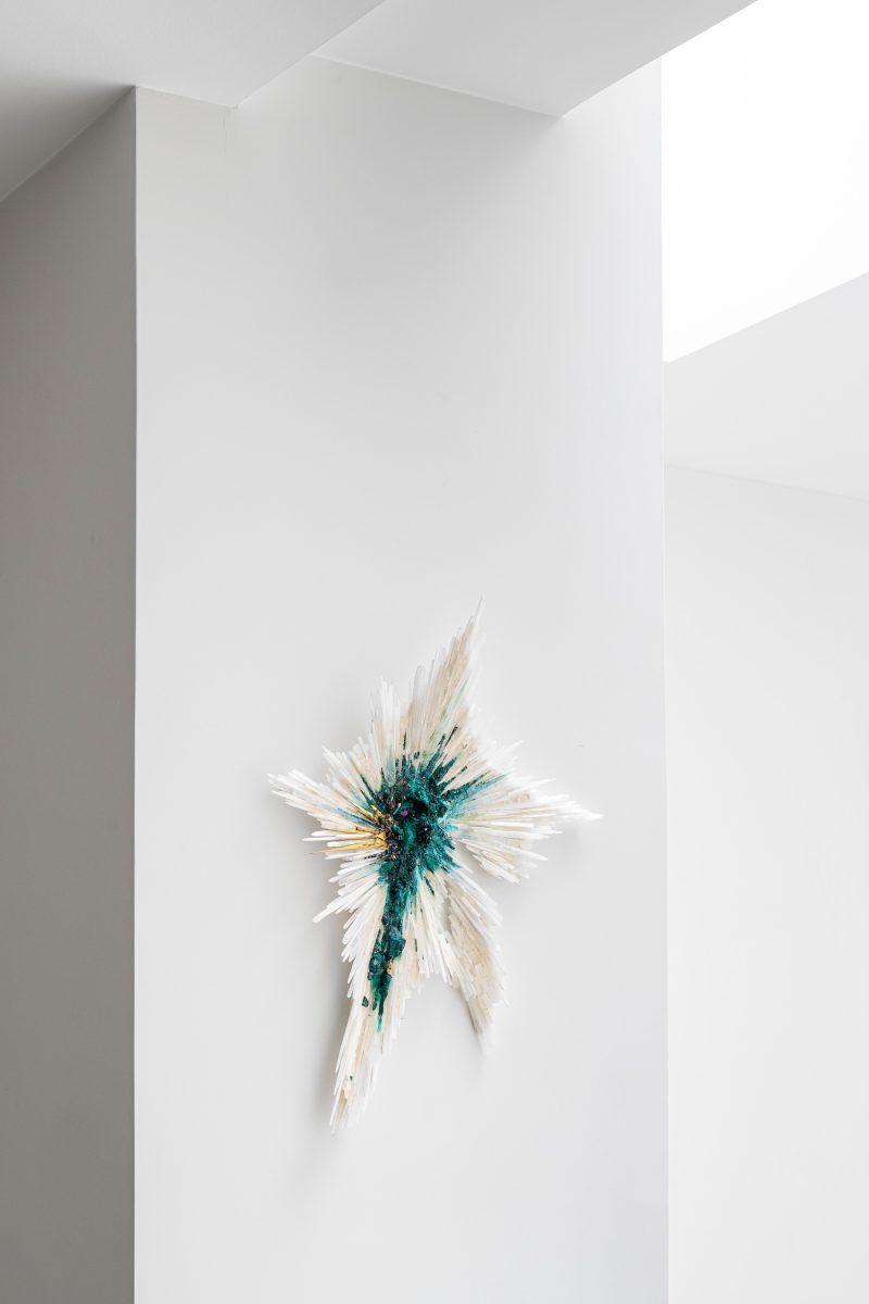 GalerieGastou-BeatriceSerre-Cosmosaique24-©EdouardAuffray-10