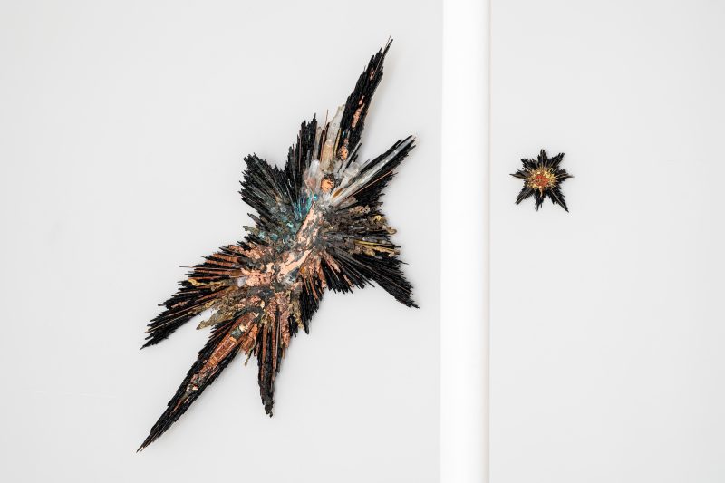 GalerieGastou-BeatriceSerre-Cosmosaique24-©EdouardAuffray-15