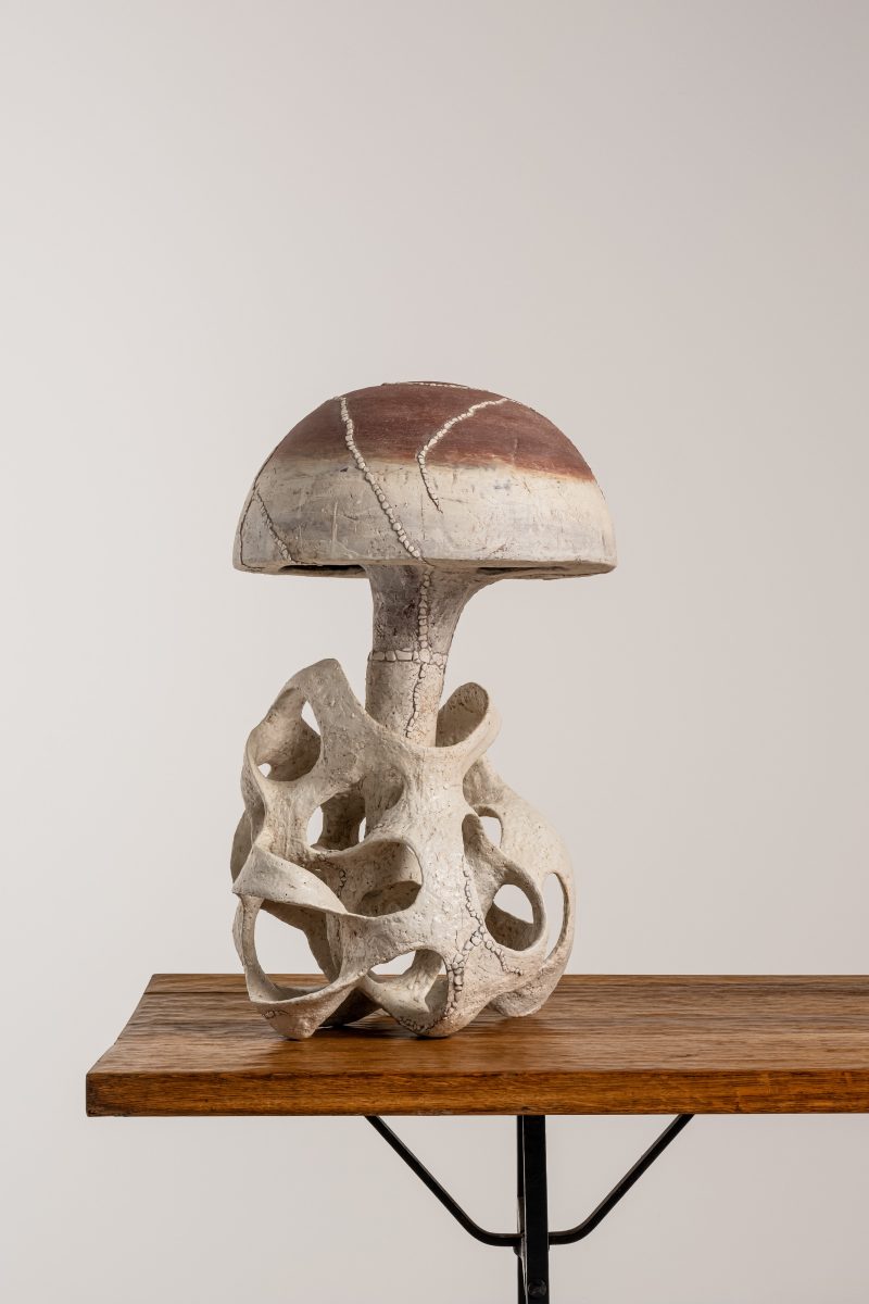 "Champignon Rouge"