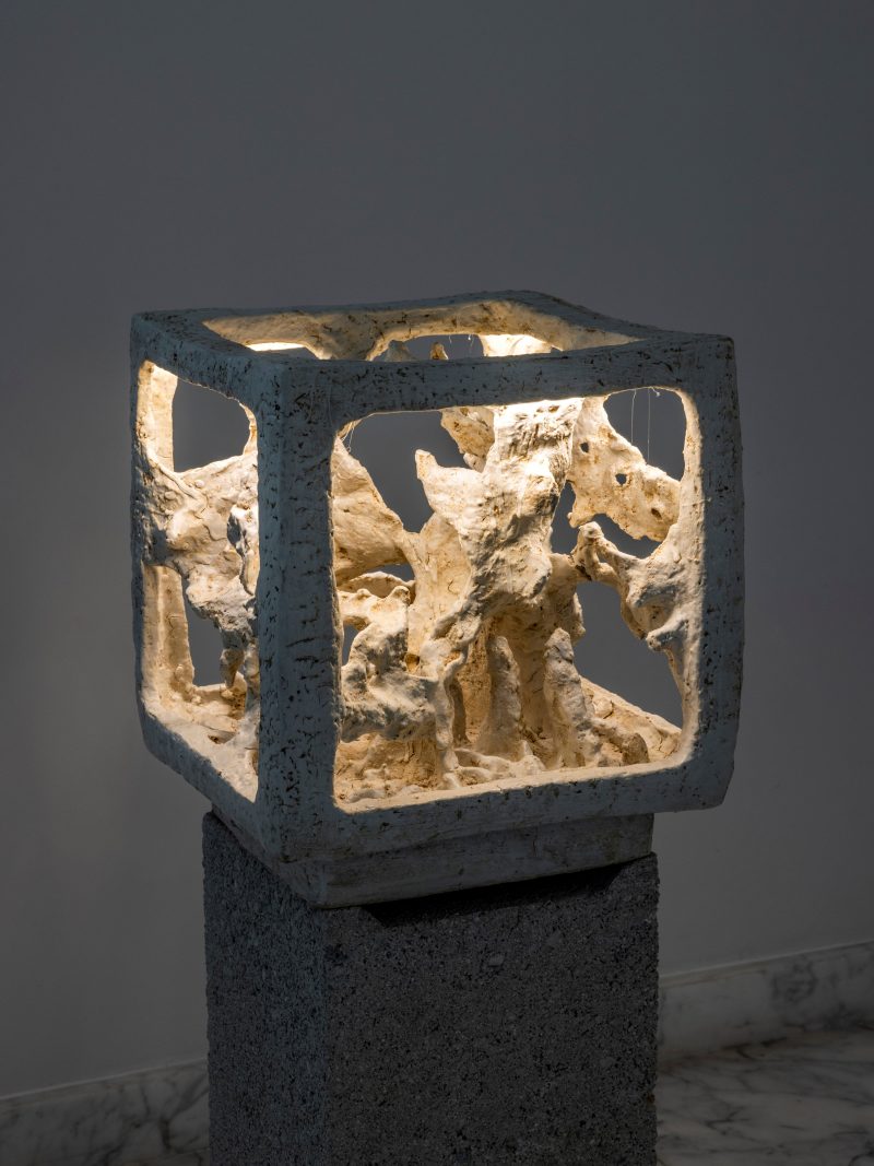 "Petit Aquarium" lamp