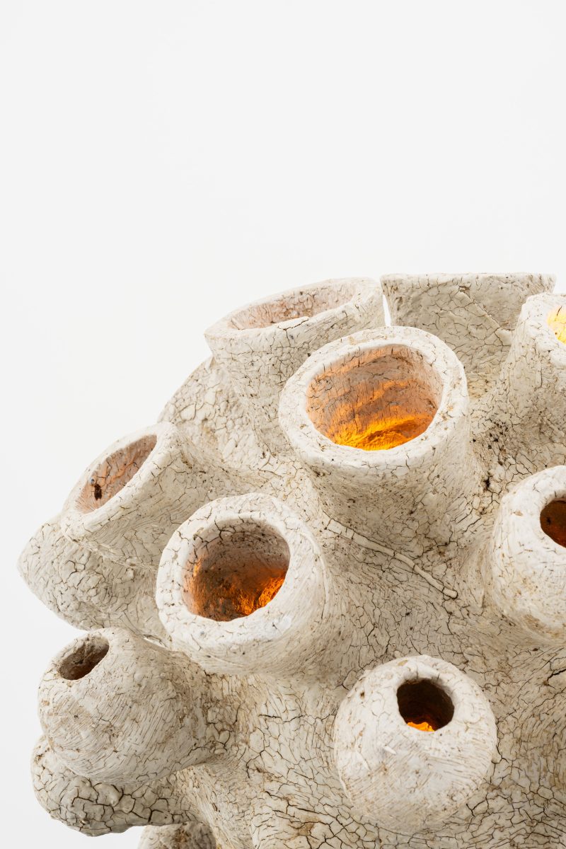 "Sporange" lamp