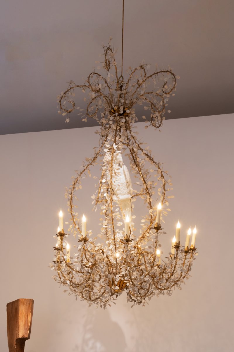 "Perroquet" ceiling fixture