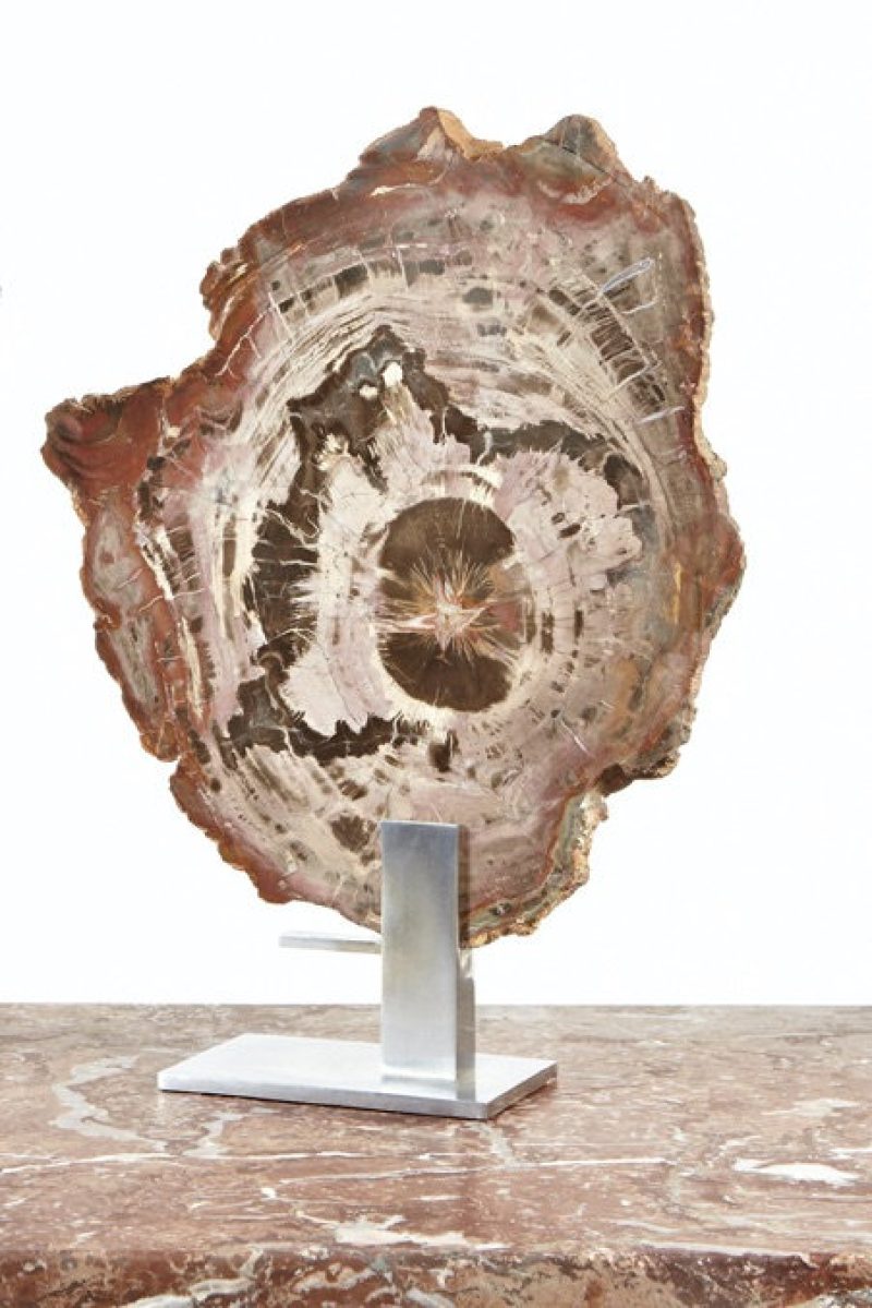 Fossilized wood with steel base