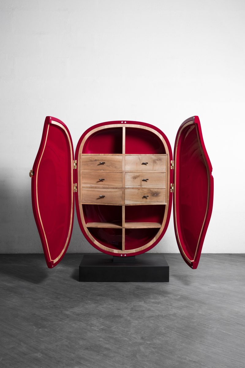 "Carapace" cabinet