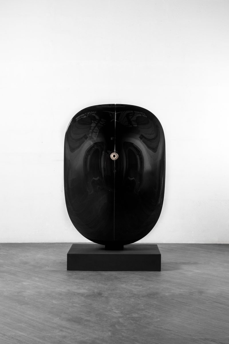 "Carapace" cabinet