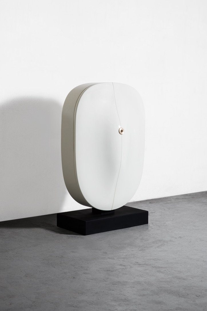 "Carapace" cabinet
