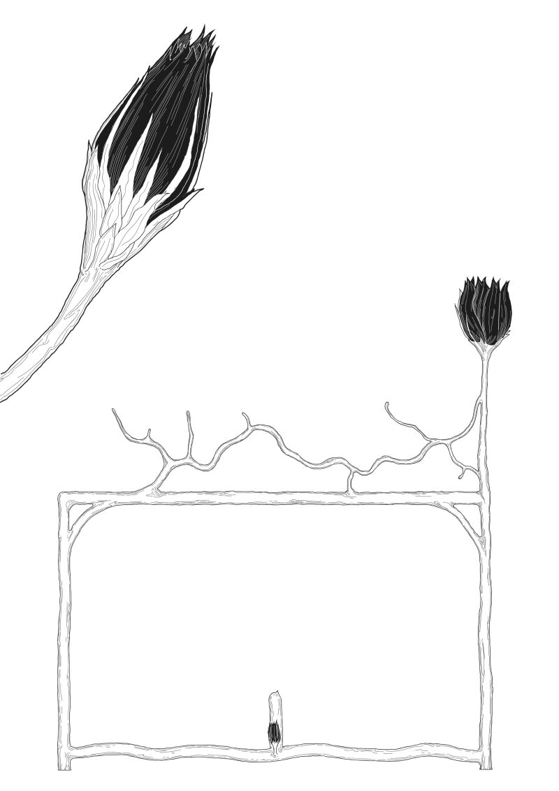 "Queen of the night" daybed