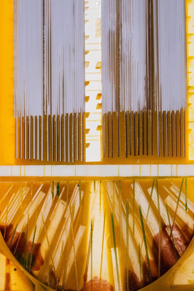 "Homage à Torres-Agüero"