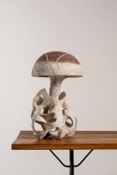 "Champignon Rouge"
