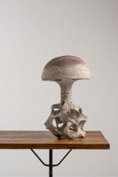 "Champignon Rouge"