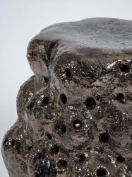 "Morilles Noires"