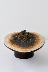 "Genesis" coffee table