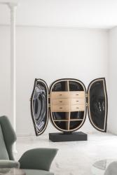 "Carapace" cabinet