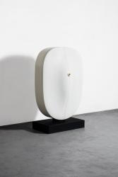 "Carapace" cabinet