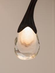 "Wild and voluptuous animals" ceiling fixture