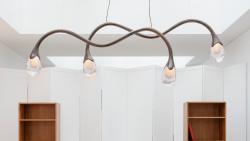 "Wild and voluptuous animals" ceiling fixture