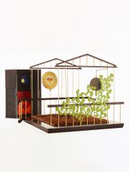 "Cage-Bed"