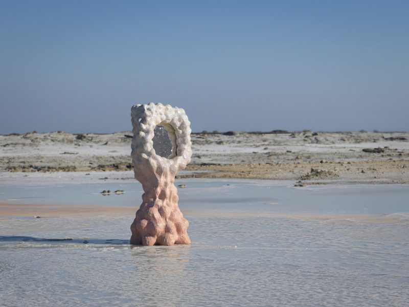 "Psyché Rose Flamand" mirror