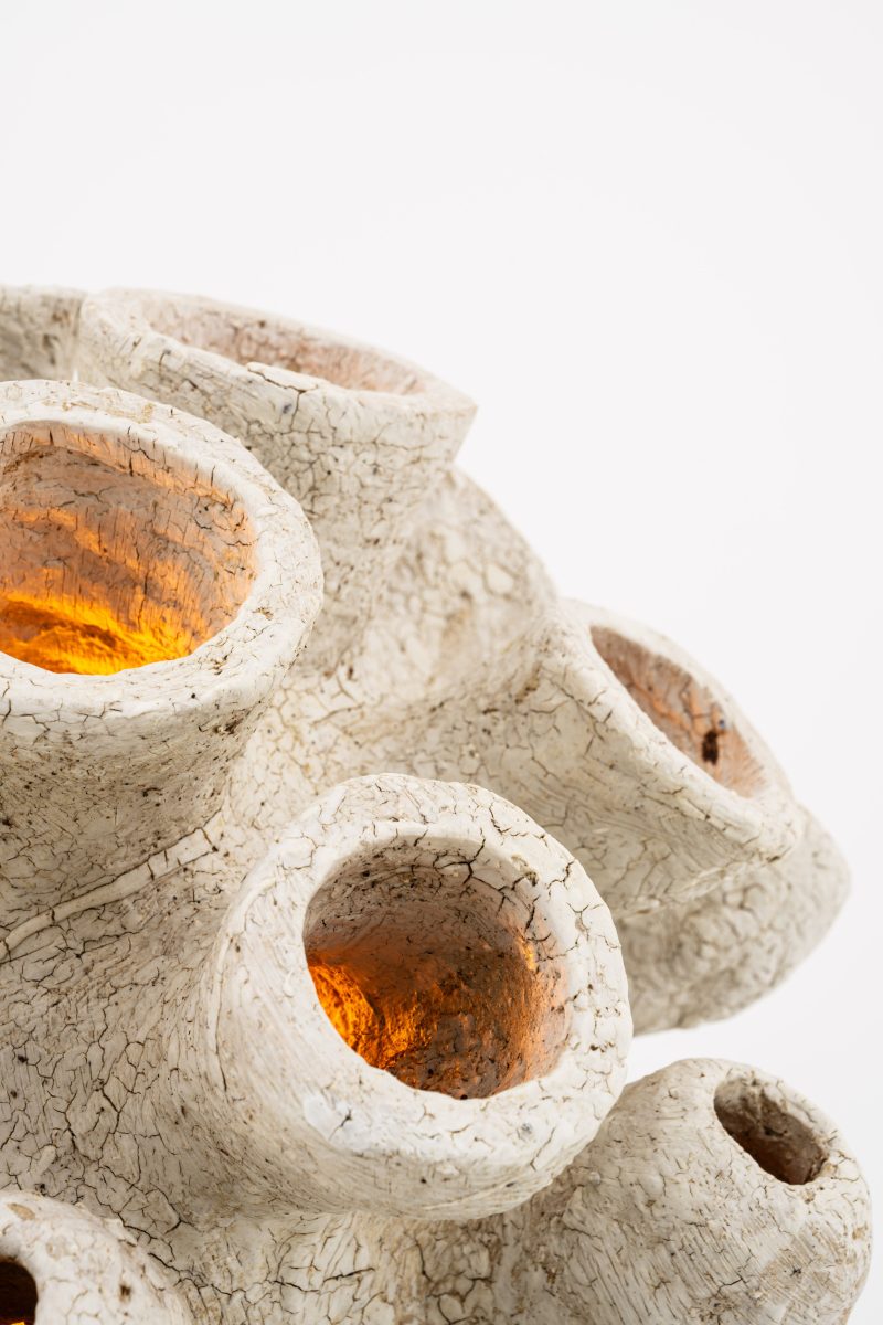 "Sporange" lamp