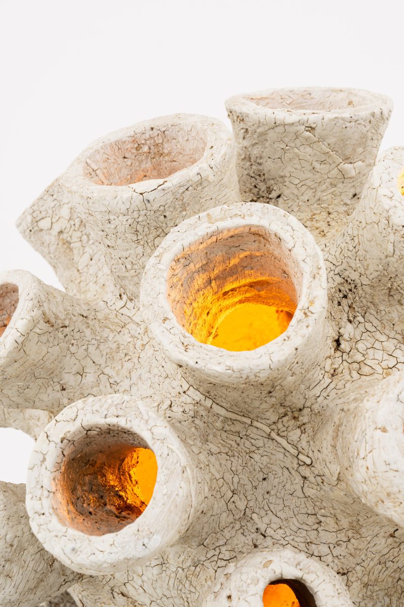 "Sporange" lamp