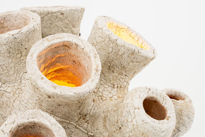 "Sporange" lamp