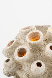 "Sporange" lamp
